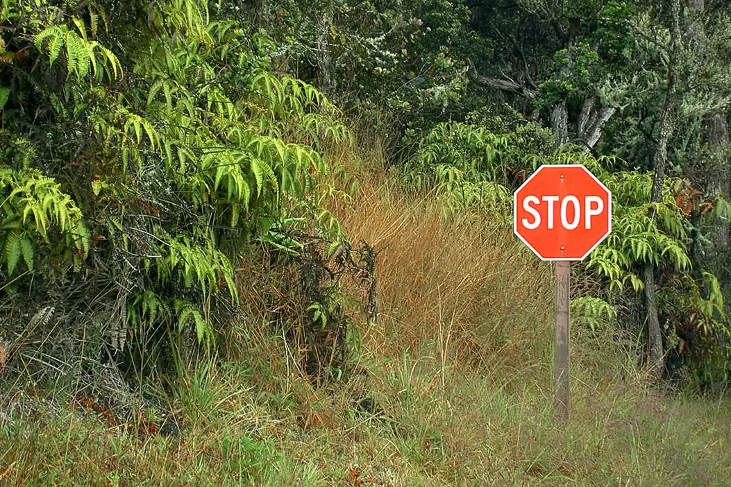 Symbolbild für Einzeltherapie: ein rotes Stop-Schild in einer grünen Landschaft